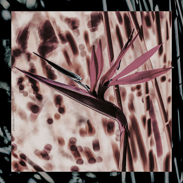 Silk Scarf - Electric Ladyland